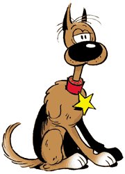 YILMAZAYDIN10's tweet photo. Nabey dostum 😉
#Redkit
#Rintintin https://t.co/Iziy1LYefl
