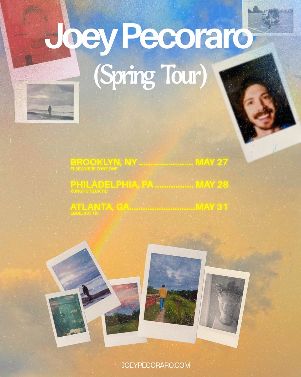 joey pecoraro tweet media