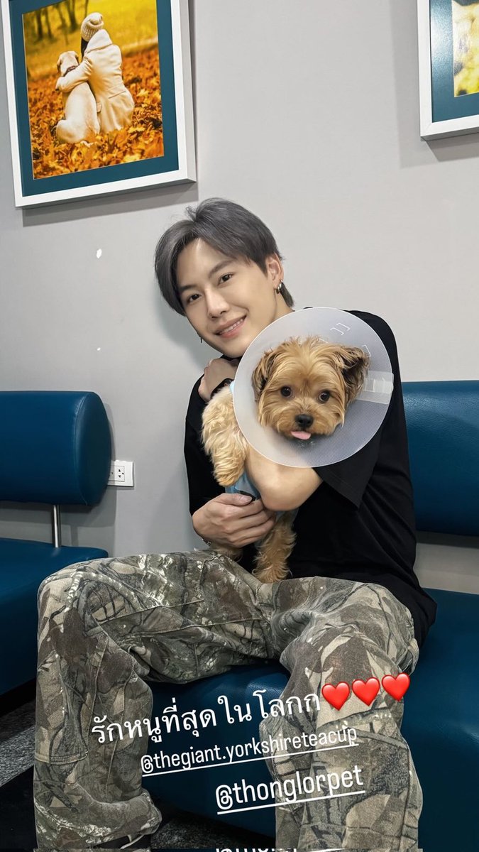 シャム子🇹🇭🇯🇵 (@710lovethai) / Posts / X