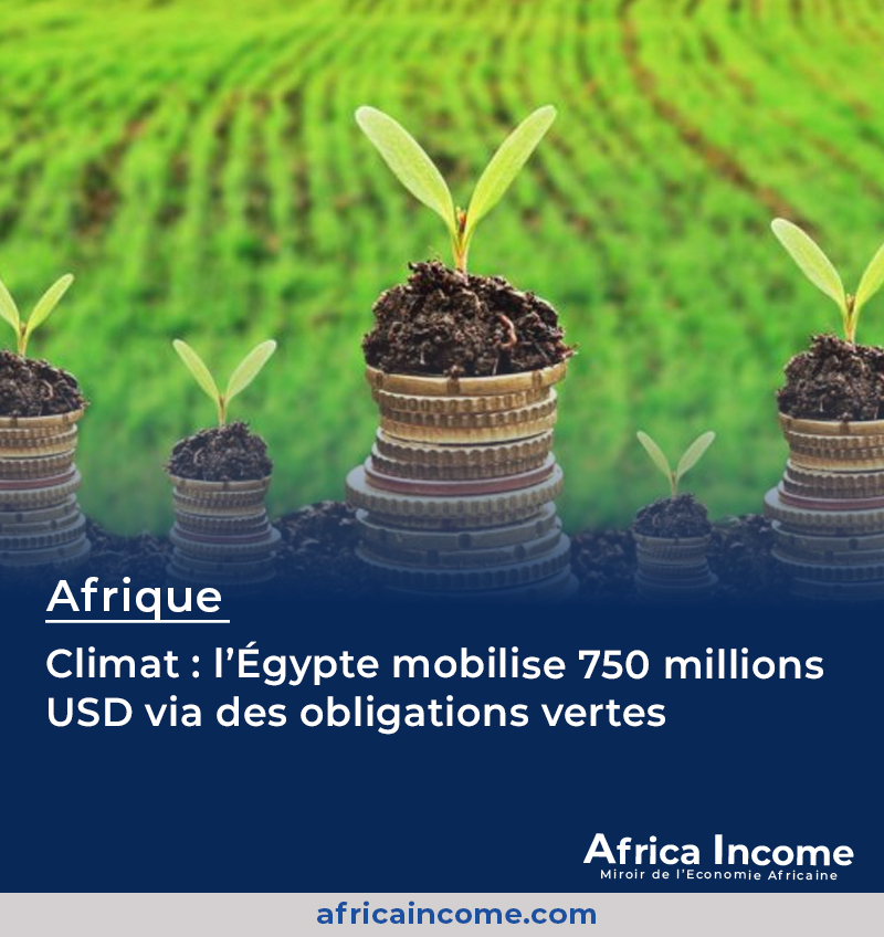 L’Égypte a levé 750 millions USD via des obligations vertes.
Les fonds financeront des projets climatiques à l’échelle nationale.
Le but est l'adaptation, la résilience et la baisse des émissions de CO₂.
#africaIncome #Egypte #FinanceVerte #Climat