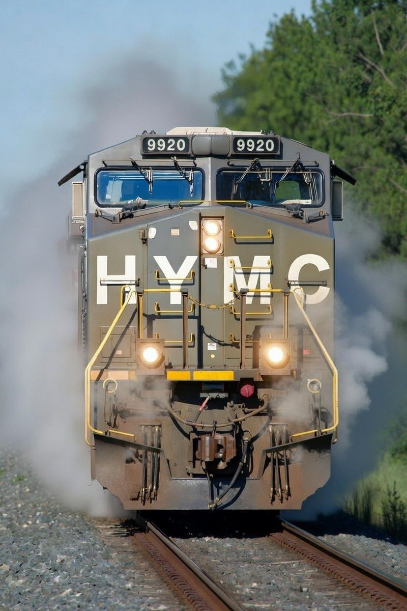 Jump on or get run over 🩳