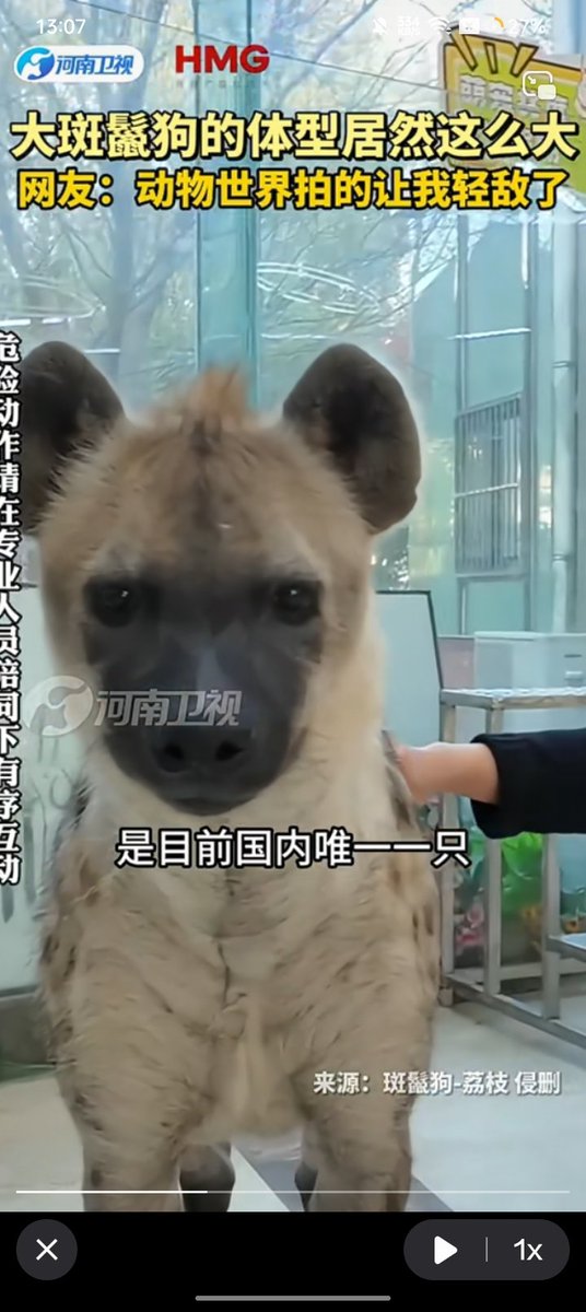 Bro look like a Potato