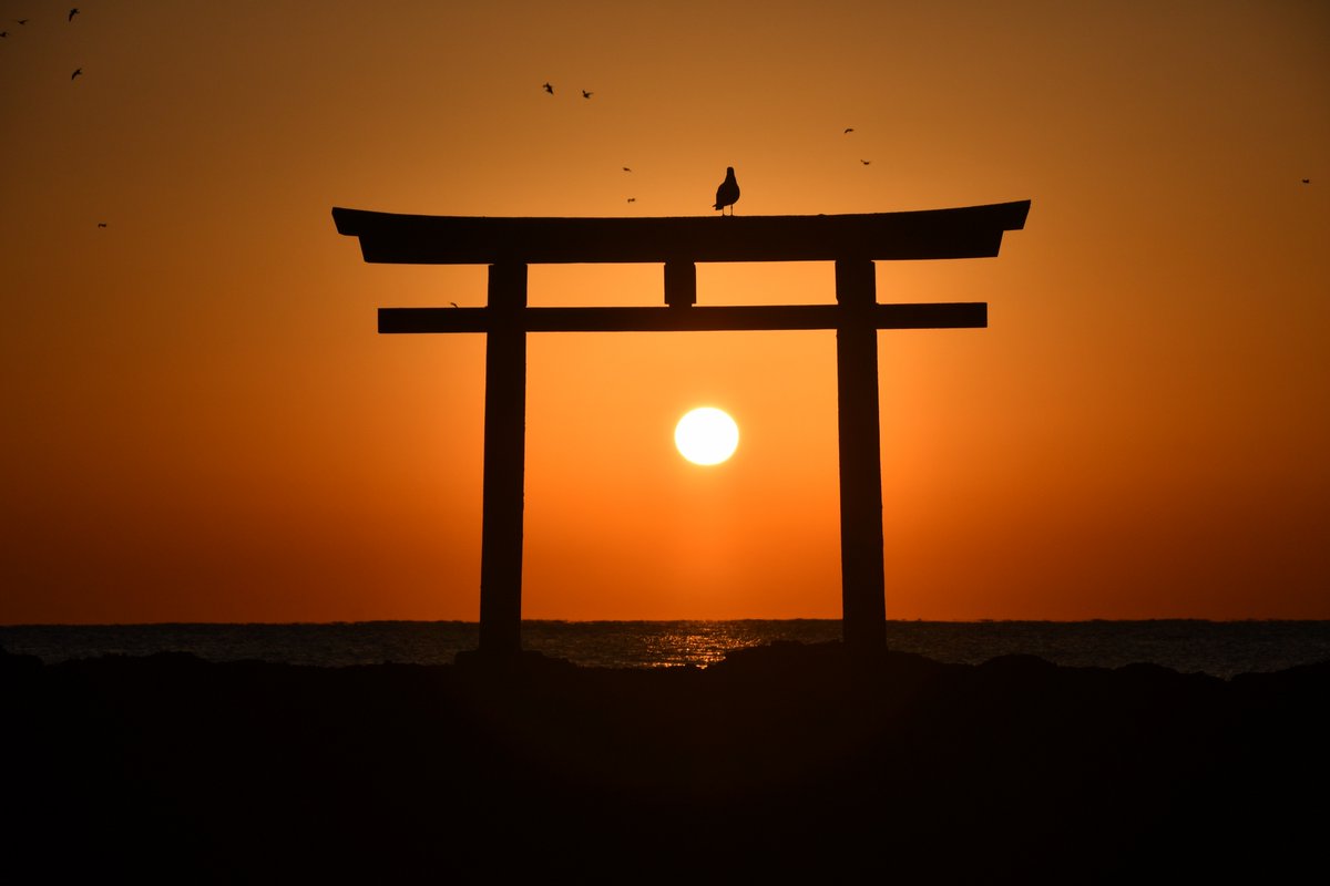 Shrine_Serenity's tweet photo. ここ日本？

大洗磯前神社シリーズ④（最終回）

神磯の鳥居が初日の出を最高に締めくくり…
①鳥が止まる神秘シルエット
②フレームインのオレンジ朝陽
③黄金波しぶきの大迫力
④シンプル背負いの神々しさ……

茨城の秘境・大洗磯前神社で
太陽と海の奇跡が重なる瞬間！！2026午年の開運パワースポットとして、
訪れた人々が「1年が輝く」って噂の聖地…

#大洗磯前神社 #初日の出絶景 #開運パワースポット #ここ日本 #茨城絶景 #海上鳥居 #神秘の神社 #2026午年