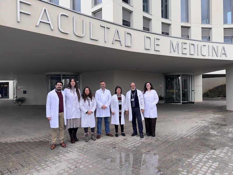 REVISTAFYH's tweet photo. Identifican compuestos con actividad #antitumoral en una nueva variedad de #berenjena
Un estudio demuestra la eficacia de los extractos de semilla de la berenjena S0506 frente al cáncer de colon,
https://t.co/fDckQAyv0D @CanalUGR #Cellbitec #IBSGranada 🍆🍆🍆🍆🍆🍆 https://t.co/GrQQCHbzFn
