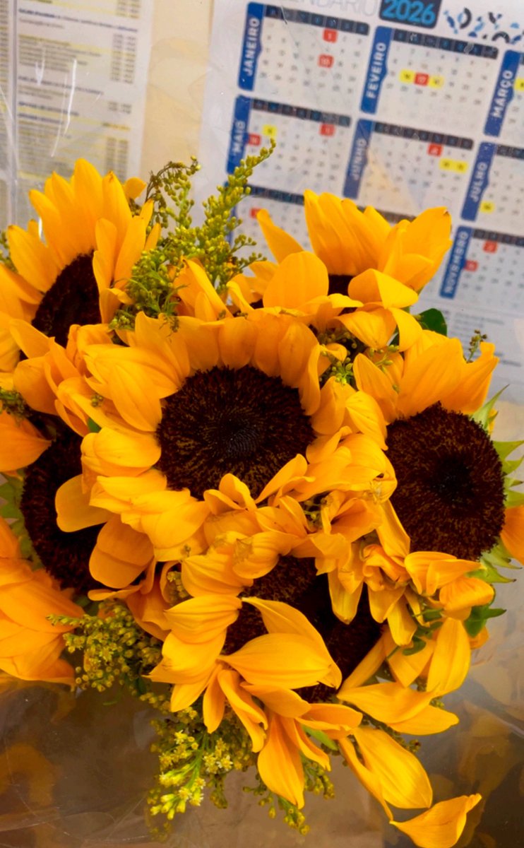 natferrariii's tweet image. Desejo que todas as mulheres sejam amadas assim como eu e ganhem flores sem “motivos” numa segunda-feira qualquer ❤️‍🔥