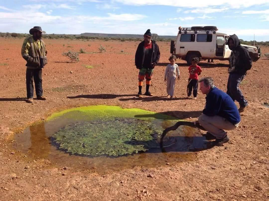 GRJ79K's tweet photo. 😎👍
> Waterhole in the middle of the desert that was created by mother nature herself.
> Very sacred to the desert people it never goes dry.
Australian Outback Photography Instagram
https://t.co/mvhXkZqT0n
#TheOutback 🇦🇺
#Toyota #LandCruiser78
#Troopy #TroopCarrier https://t.co/6NH9mkxETn