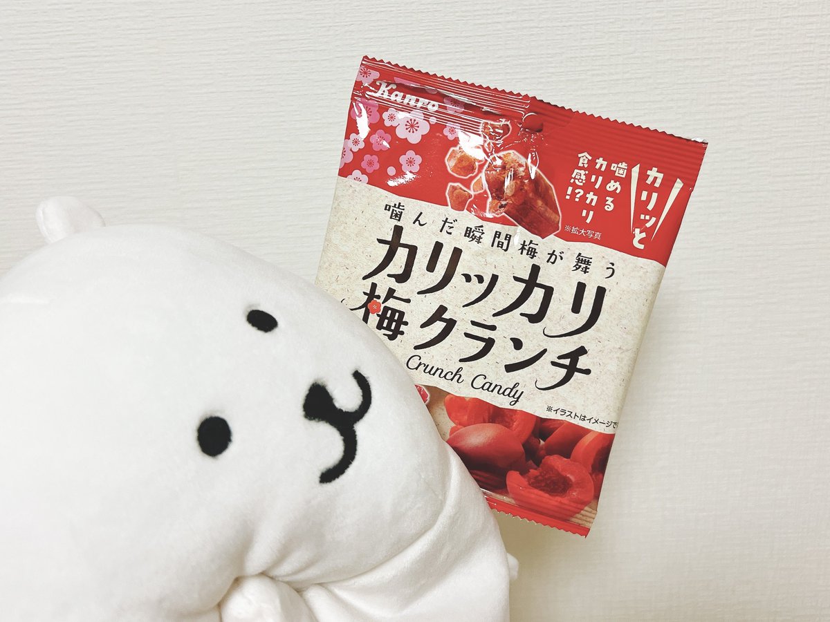 C ♭♭💐4/19 ToKini Ame☔ tweet media