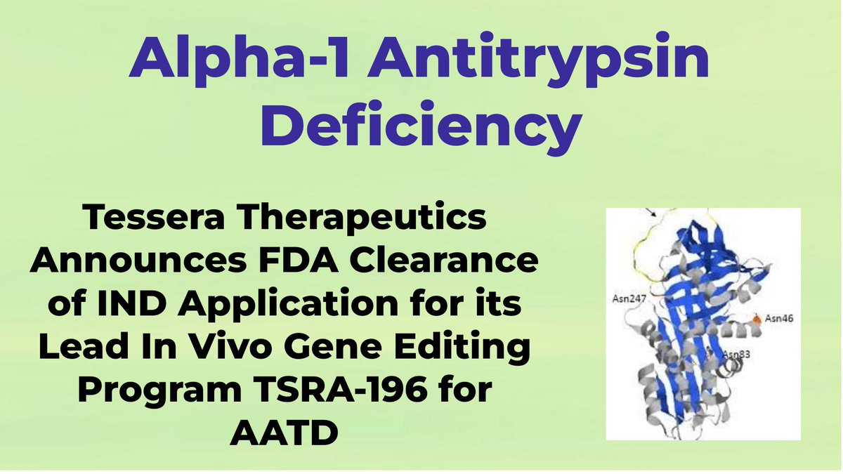 CheckOrphan's tweet image. Tessera Therapeutics Announces FDA Clearance of IND Application for its Lead In Vivo Gene Editing Program TSRA-196 for Alpha-1 Antitrypsin Deficiency (AATD) - For More Information Visit  shorturl.at/I7gez  #AATD  #Alpha1_Antitrypsin_Deficiency  #Rare_Diseases  @TesseraTx