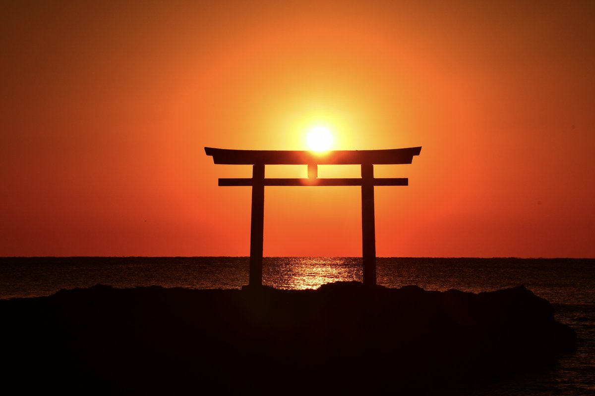 Shrine_Serenity's tweet photo. ここ日本？

大洗磯前神社シリーズ④（最終回）

神磯の鳥居が初日の出を最高に締めくくり…
①鳥が止まる神秘シルエット
②フレームインのオレンジ朝陽
③黄金波しぶきの大迫力
④シンプル背負いの神々しさ……

茨城の秘境・大洗磯前神社で
太陽と海の奇跡が重なる瞬間！！2026午年の開運パワースポットとして、
訪れた人々が「1年が輝く」って噂の聖地…

#大洗磯前神社 #初日の出絶景 #開運パワースポット #ここ日本 #茨城絶景 #海上鳥居 #神秘の神社 #2026午年