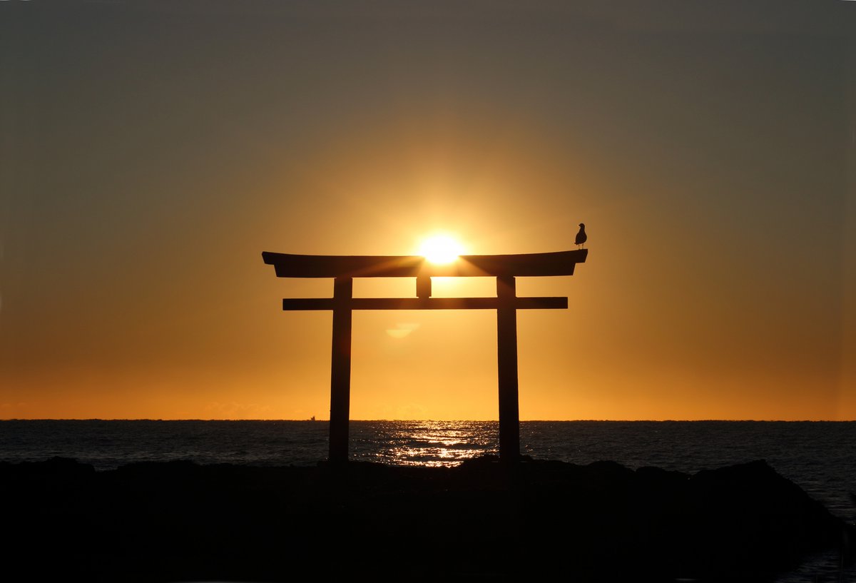 Shrine_Serenity's tweet photo. ここ日本？

大洗磯前神社シリーズ④（最終回）

神磯の鳥居が初日の出を最高に締めくくり…
①鳥が止まる神秘シルエット
②フレームインのオレンジ朝陽
③黄金波しぶきの大迫力
④シンプル背負いの神々しさ……

茨城の秘境・大洗磯前神社で
太陽と海の奇跡が重なる瞬間！！2026午年の開運パワースポットとして、
訪れた人々が「1年が輝く」って噂の聖地…

#大洗磯前神社 #初日の出絶景 #開運パワースポット #ここ日本 #茨城絶景 #海上鳥居 #神秘の神社 #2026午年