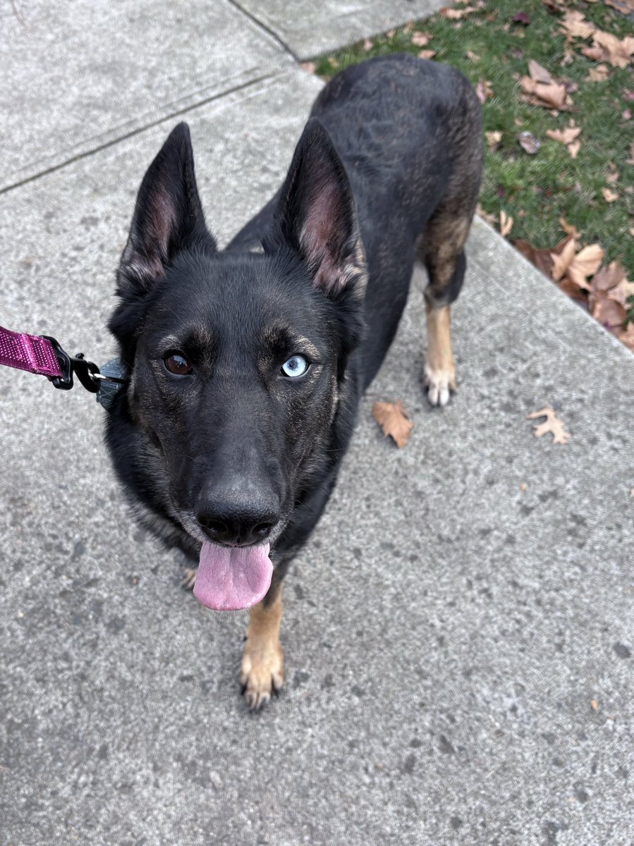 My pretty girl