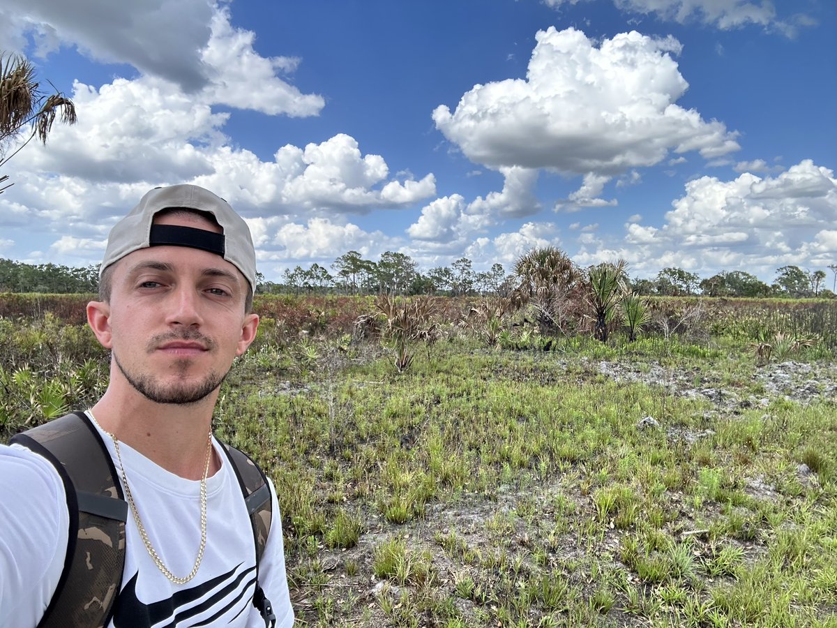 CStilesMedia tweet media