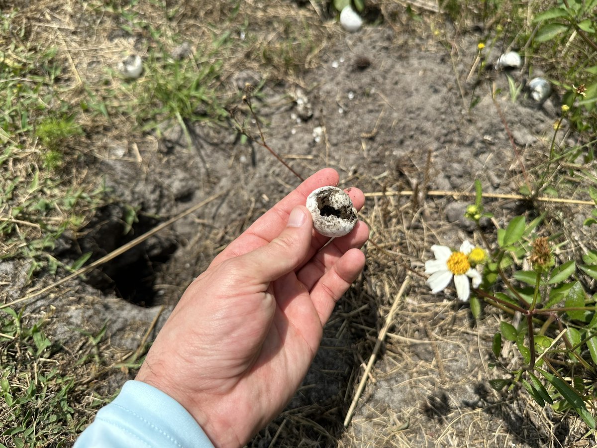 CStilesMedia tweet media