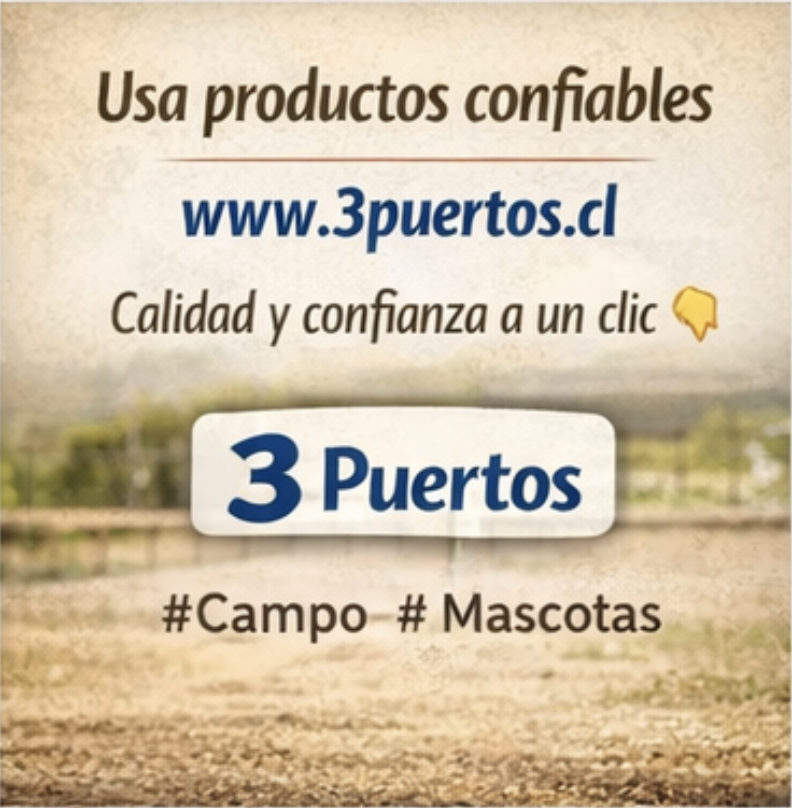 3Puertos98581's tweet photo. https://t.co/z4omvK3mfq