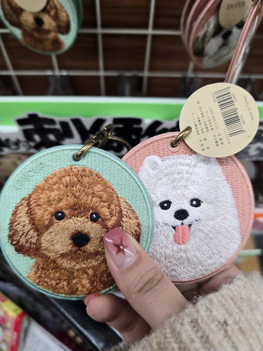 돈키호테에서 다롱보리가나돔두발견했어