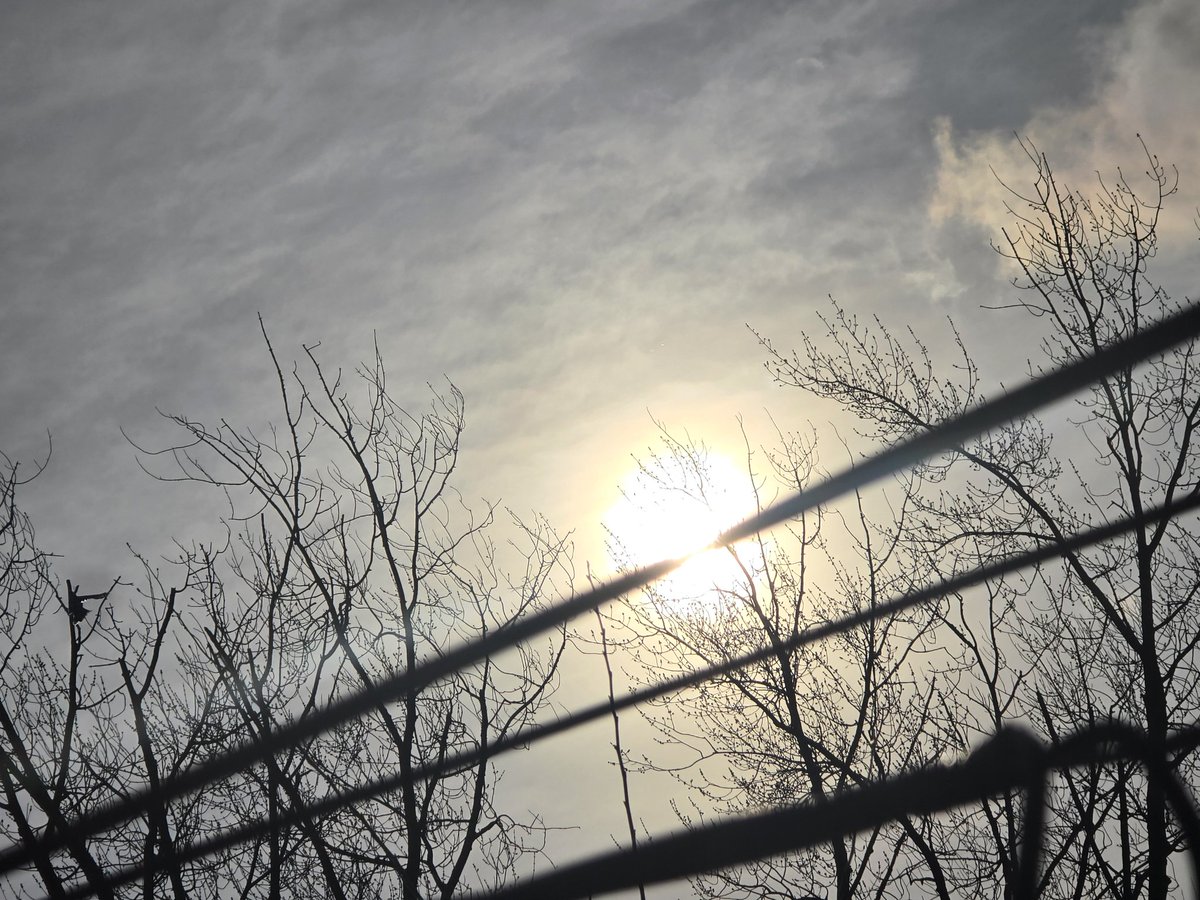 jesseRoss597206's tweet image. Sun blocked every single day since September. The effects are showing in the children. Fatigue,depression, headaches,hopelessness, memory loss, no energy,no strength,anger &amp;amp; not enjoying life. How much longer do our children have to suffer at the hands of a tyrannical government