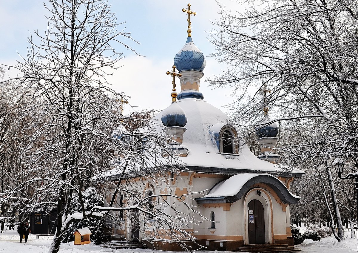 vikont19501's tweet photo. Зимова Борщагівка - /12. 01. 2026/ https://t.co/NeAHOL59aJ