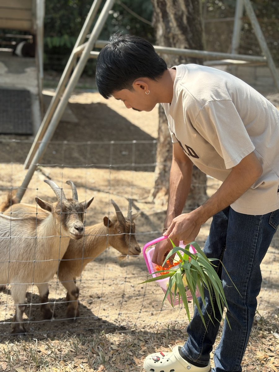 jobe2547's tweet photo. 🦙💗 https://t.co/uOYOqhhVgS