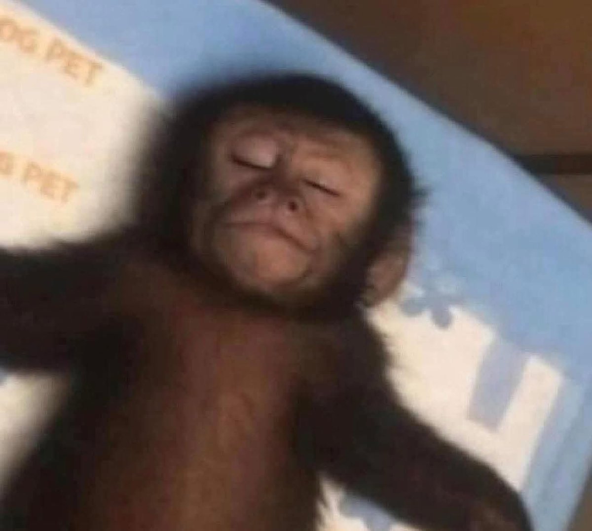 Mi alarma suene y suene 

Yo: