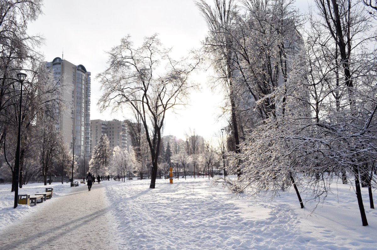 vikont19501's tweet photo. Зимова Борщагівка - /12. 01. 2026/ https://t.co/NeAHOL59aJ