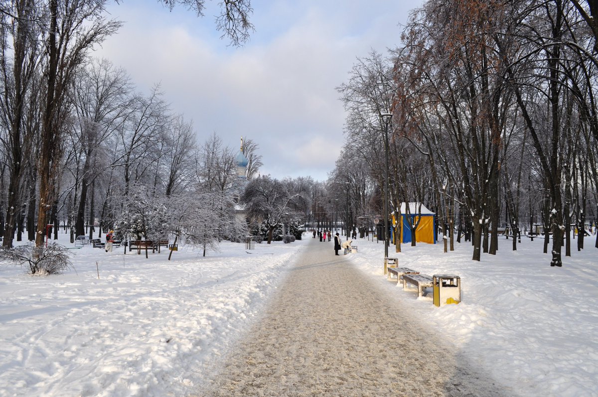vikont19501's tweet photo. Зимова Борщагівка - /12. 01. 2026/ https://t.co/NeAHOL59aJ