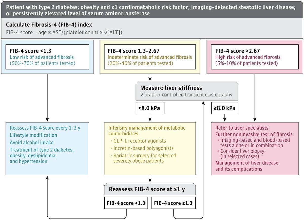 🆕📘 Revisión en JAMA sobre #MASLD #livertwitter

Un repaso actualizado que aborda:
1️⃣ Progresión (y regresión) de la MASLD
2️⃣ Criterios diagnósticos
3️⃣ Evaluación de la fibrosis
📸: jamanetwork.com/journals/jama/…
