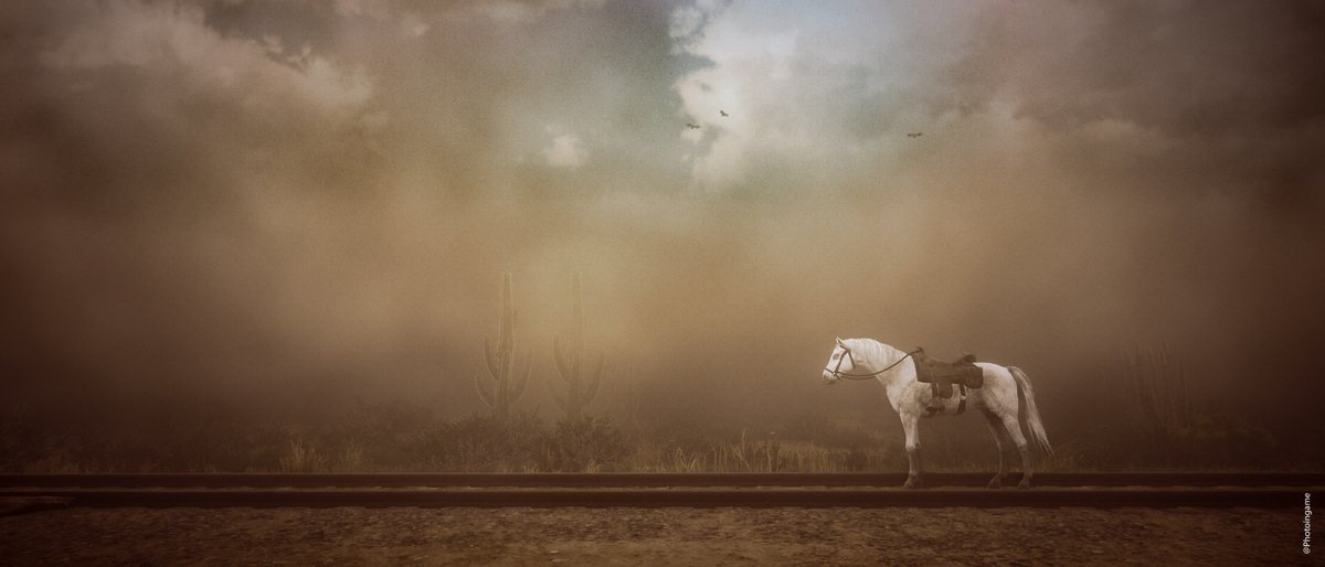 Photoingame tweet media