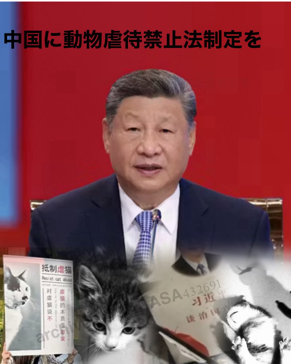 Even among Chinese people, there are certainly those who strongly condemn abuse and strive to protect life.
This alone is clear evidence that the so called 『genetic theory』does not hold.

Every country has individuals who commit extremely cruel acts of abuse.
Such behavior is