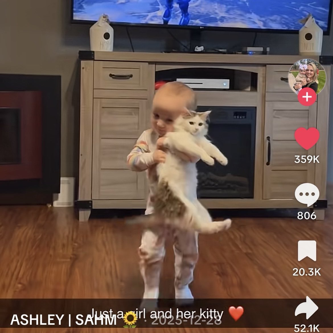 wotterism's tweet image. baby hjp and the potter cat #real #notfake #actualphotos