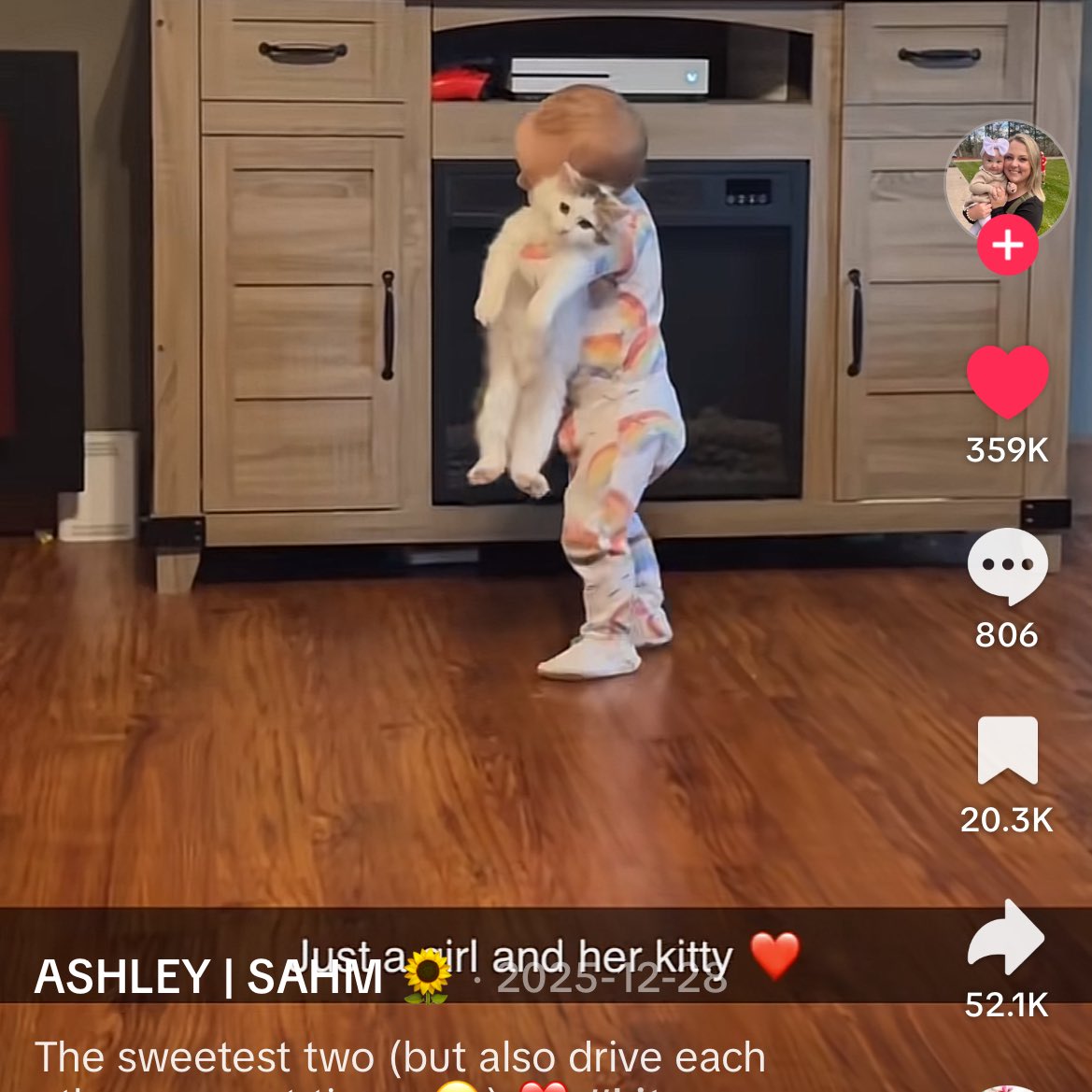 wotterism's tweet image. baby hjp and the potter cat #real #notfake #actualphotos