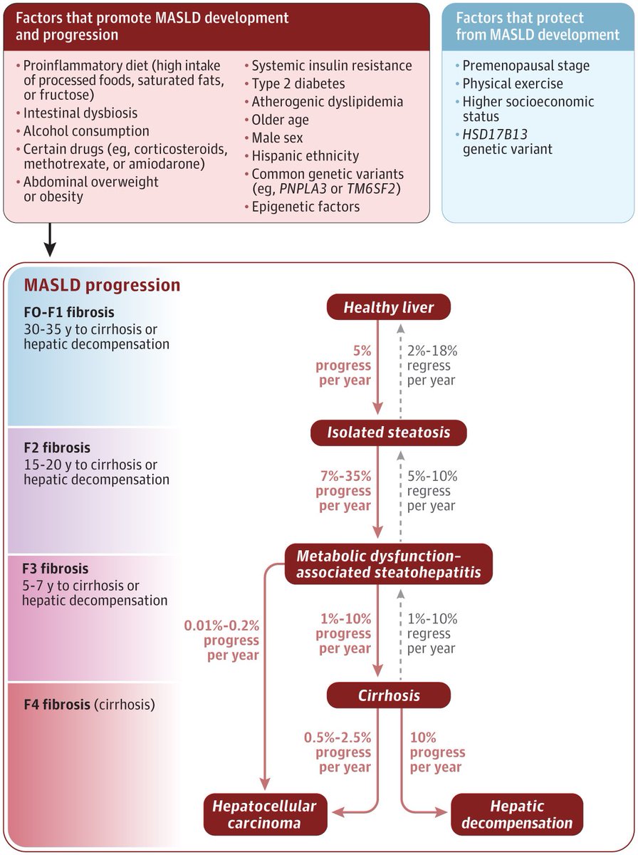 sepdigestiva's tweet photo. 🆕📘 Revisión en JAMA sobre MASLD #livertwitter

Un repaso actualizado que aborda:
1️⃣ Progresión (y regresión) de la MASLD
2️⃣ Criterios diagnósticos
3️⃣ Evaluación de la fibrosis
📸: https://t.co/a5yjHyHvJp https://t.co/Ft1Lxc74gf