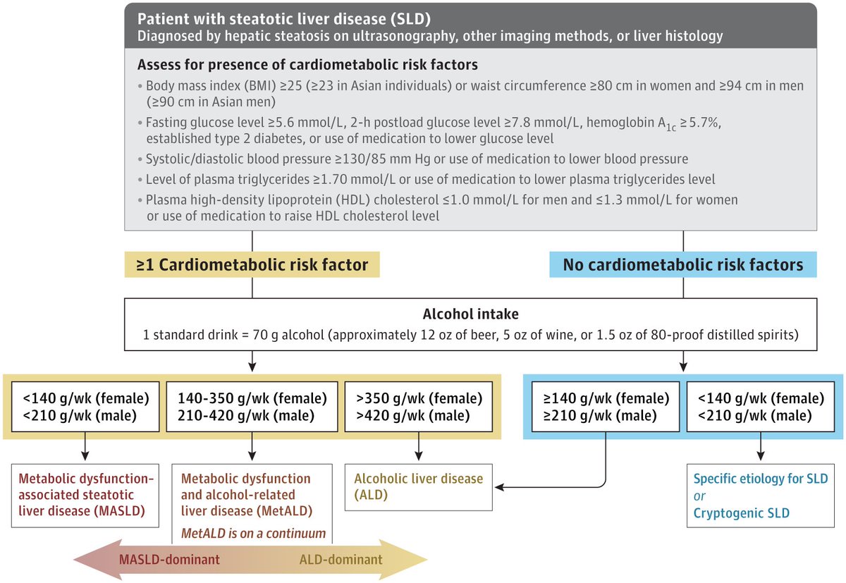 sepdigestiva's tweet photo. 🆕📘 Revisión en JAMA sobre MASLD #livertwitter

Un repaso actualizado que aborda:
1️⃣ Progresión (y regresión) de la MASLD
2️⃣ Criterios diagnósticos
3️⃣ Evaluación de la fibrosis
📸: https://t.co/a5yjHyHvJp https://t.co/Ft1Lxc74gf