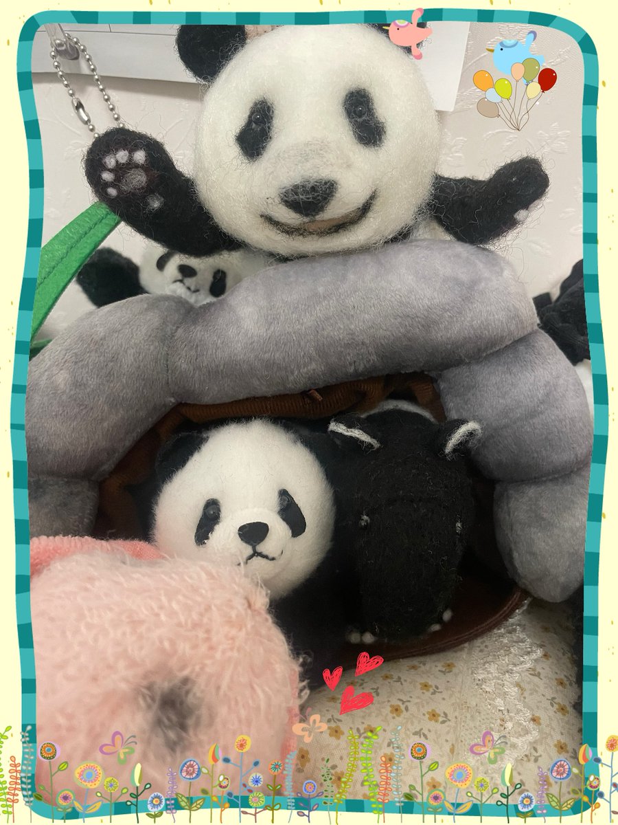 ✨✨✨︎💕︎︎˙˚せーの💕︎︎✨✨✨
おたんじょうび
おめでとう(*´°`*)🎂💓
生まれてくれてありがとう

男の子同士洞窟😊

#動物達が安全に暮らせますように