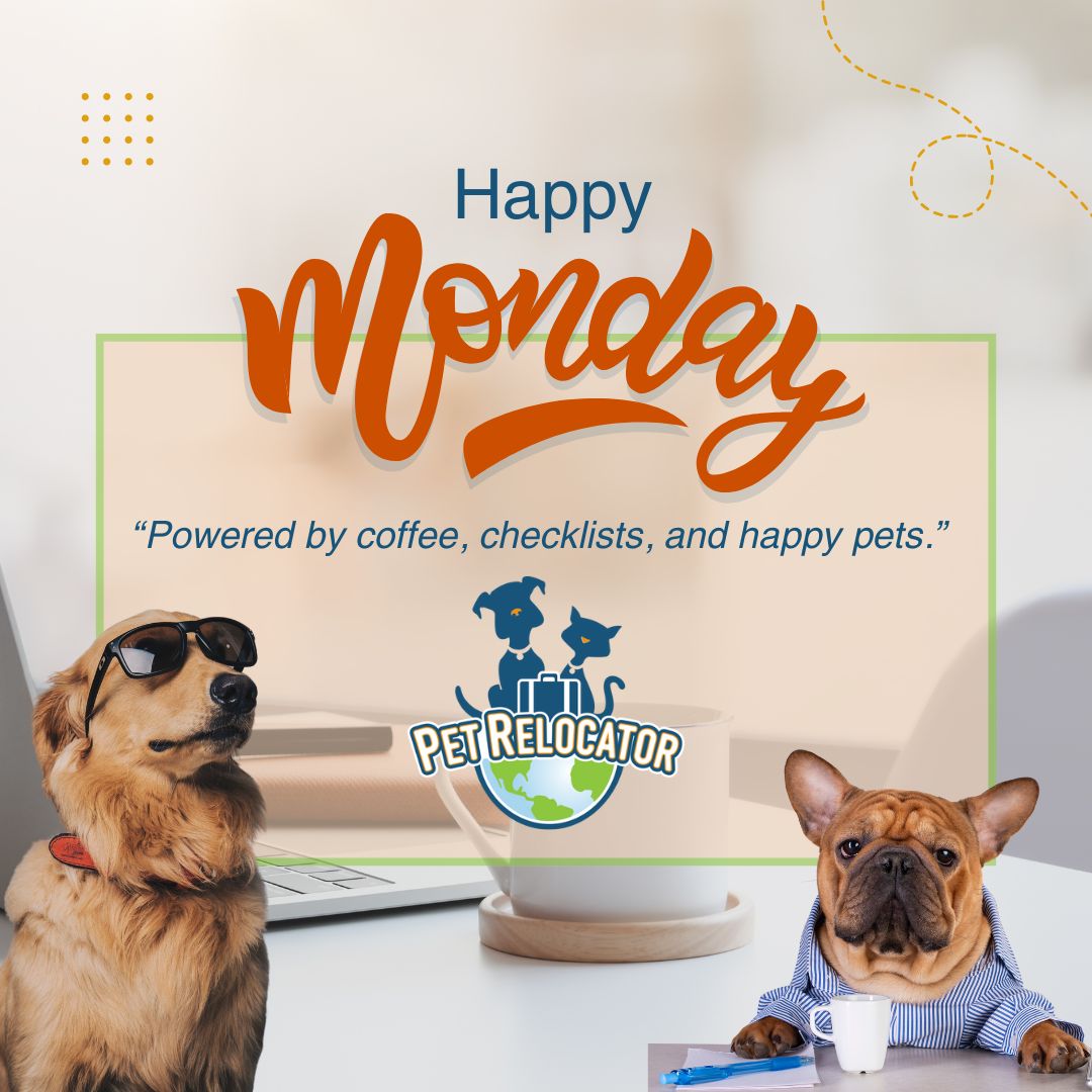 PetRelocator's tweet photo. Happy Monday! ☕🐾

Powered by coffee, checklists, and happy pets—let’s kick off the week getting things done and keeping tails wagging. Here’s to a productive Monday and a great week ahead! ✈️🐶🐱 #PetRelocator #MondayMotivation #MondayVibes https://t.co/UIPf8miYDO