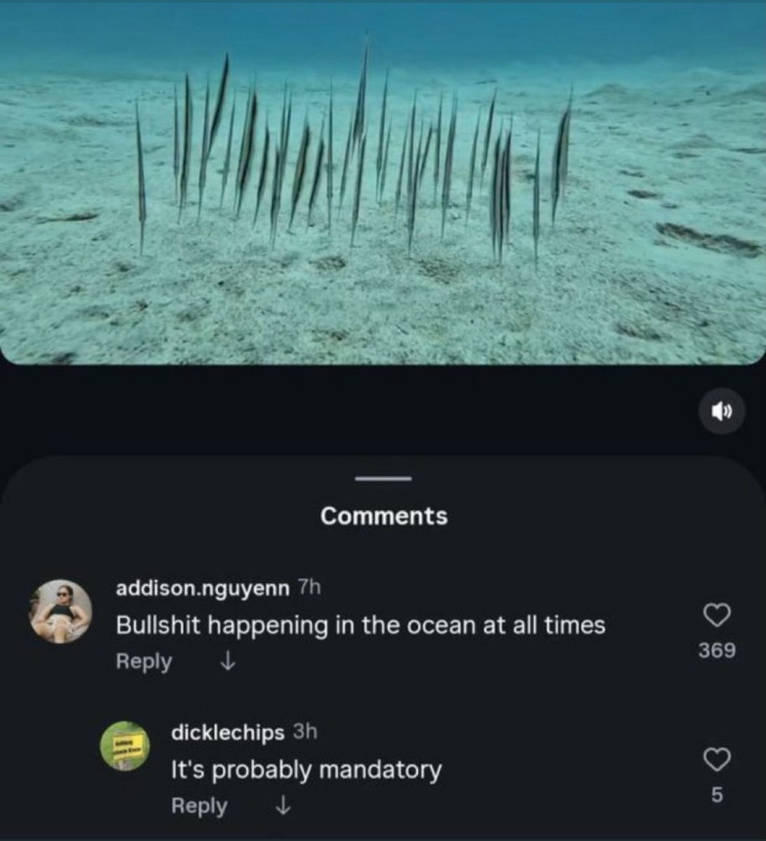 tragicbirdapp's tweet image. 