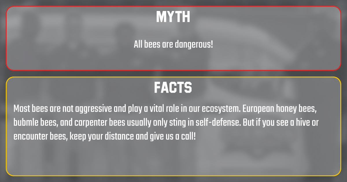 Champion Pest & Termite Control tweet media