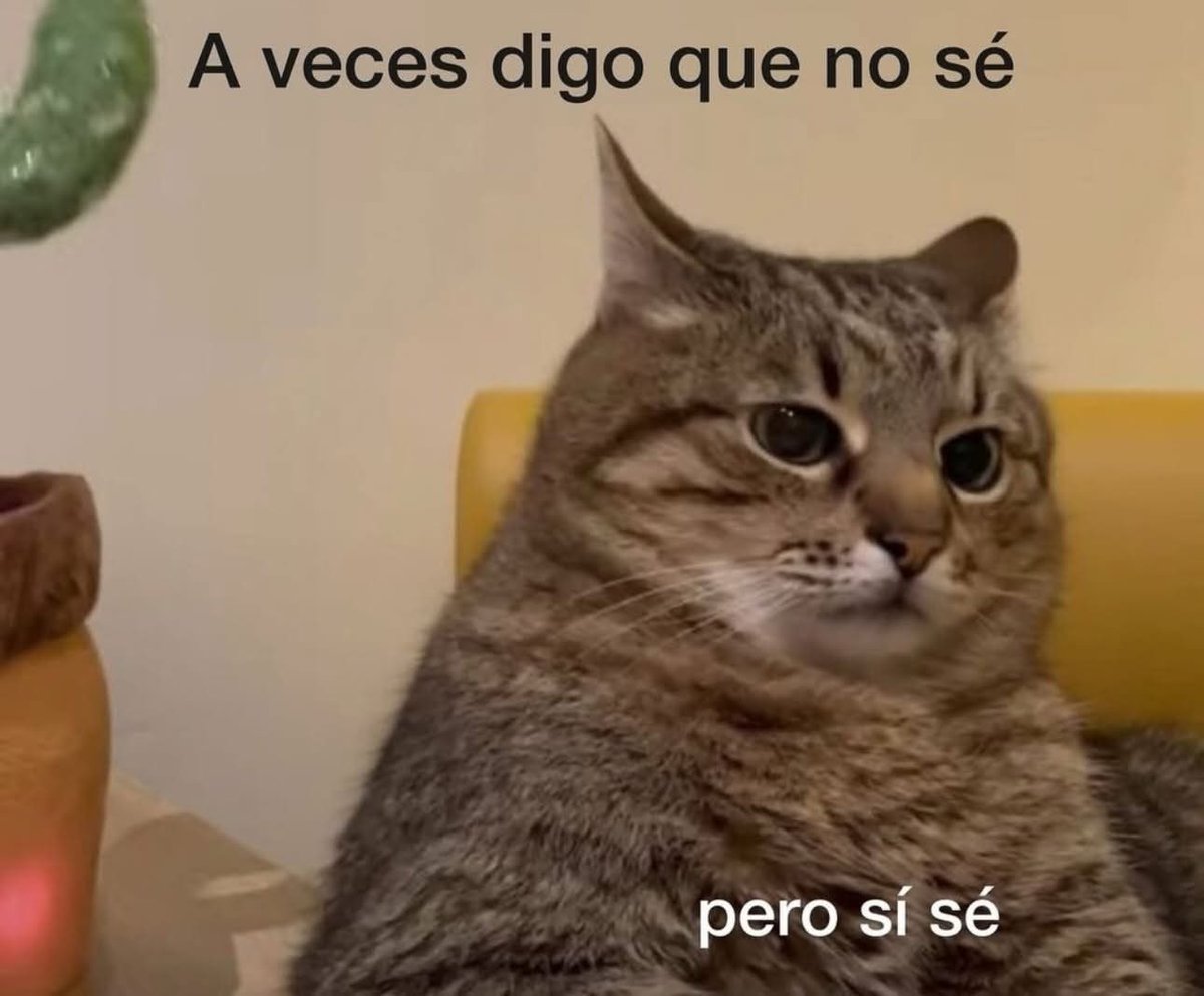 DiloConGatitoz's tweet image. 