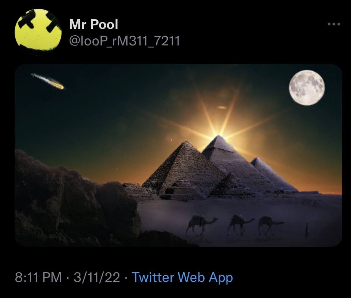 Vicetti - Inspiration for the new simulation tweet media