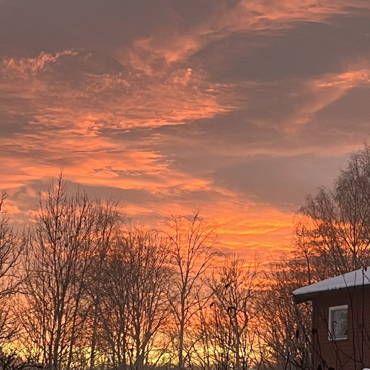ShahidMAskerN's tweet photo. Good evening friends 🩵🧡❄️🕊️🍷
#Norway https://t.co/CdhzPl0eDF