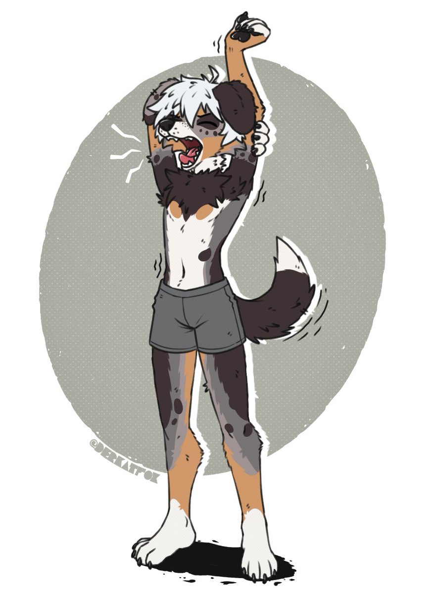 Derkat Fox tweet media