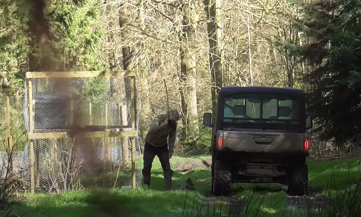 Raptor Persecution UK tweet media