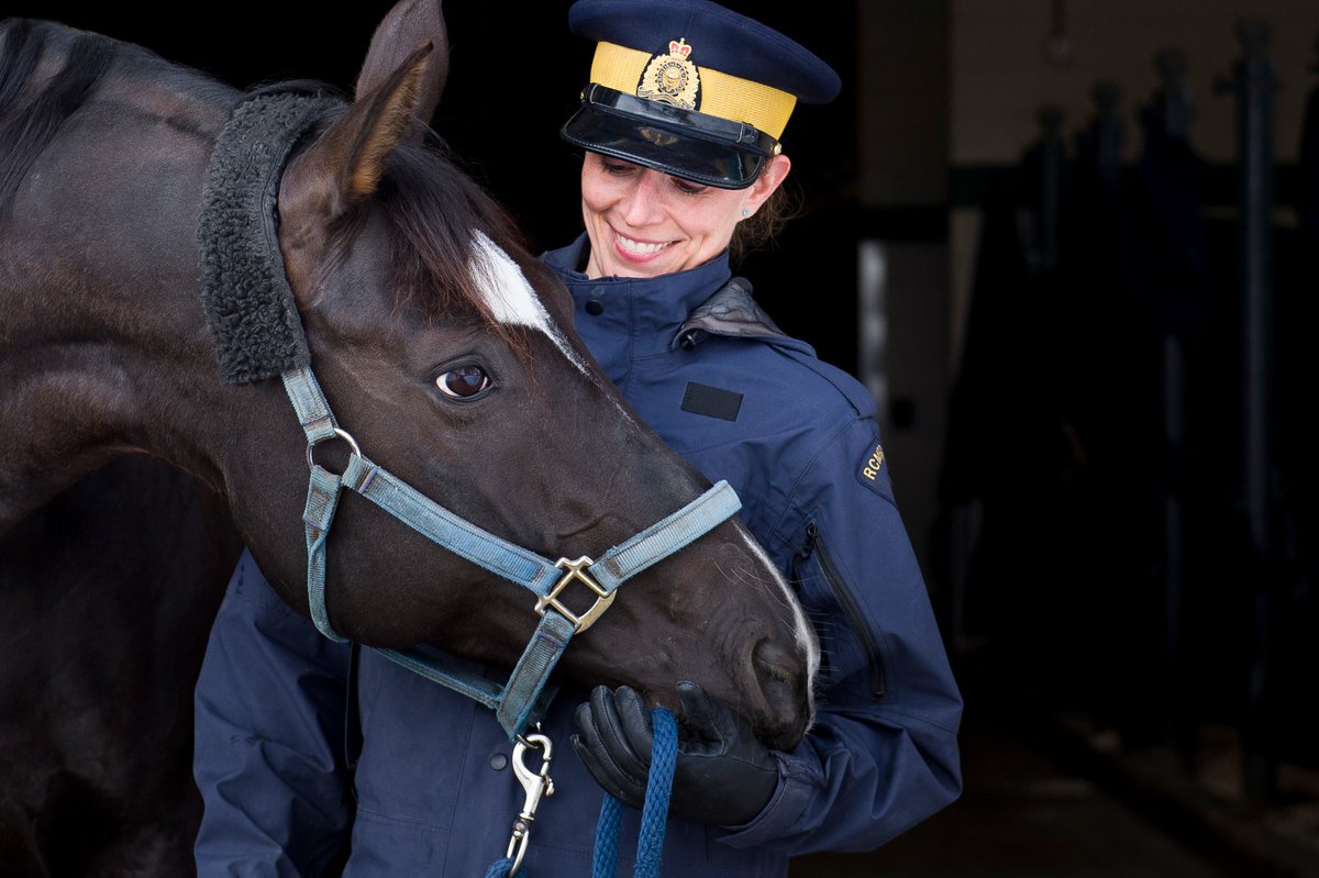 GRCONT's tweet image. Soyez des nôtres le 20 janvier à #Kanata ! Si vous avez des questions sur le métier d’agent de la GRC, c’est le moment de les poser !

Inscris-toi ici 🔗 grc.ca/fr/carrieres-g…

#GRC #Ontario #GRCOntario #Carrière