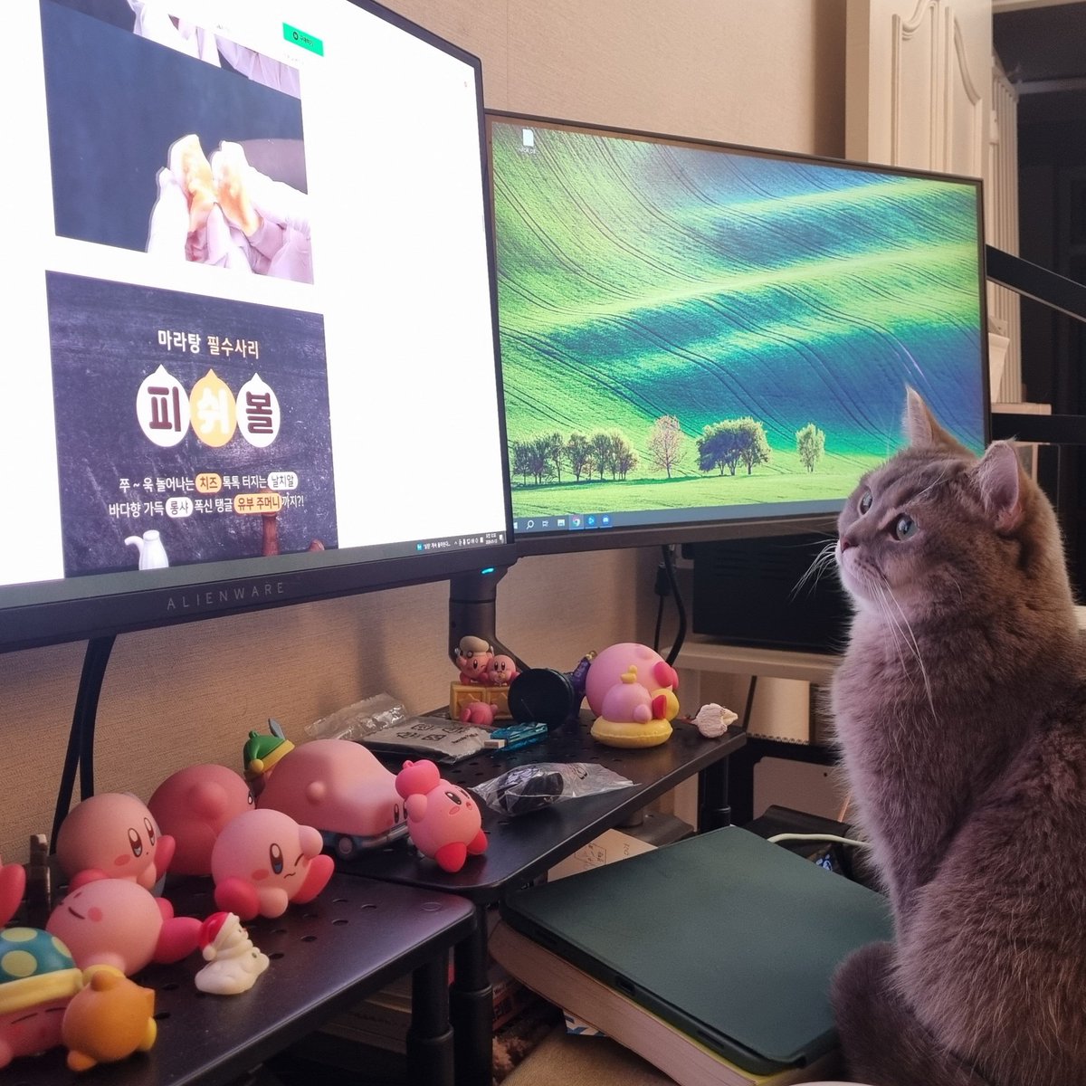 마라탕 재료 쇼핑하는데 넌 왜 구경하는건데 ㅋㅋ