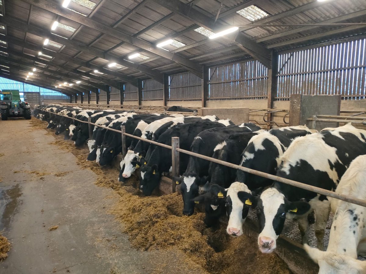 NU Farms tweet media