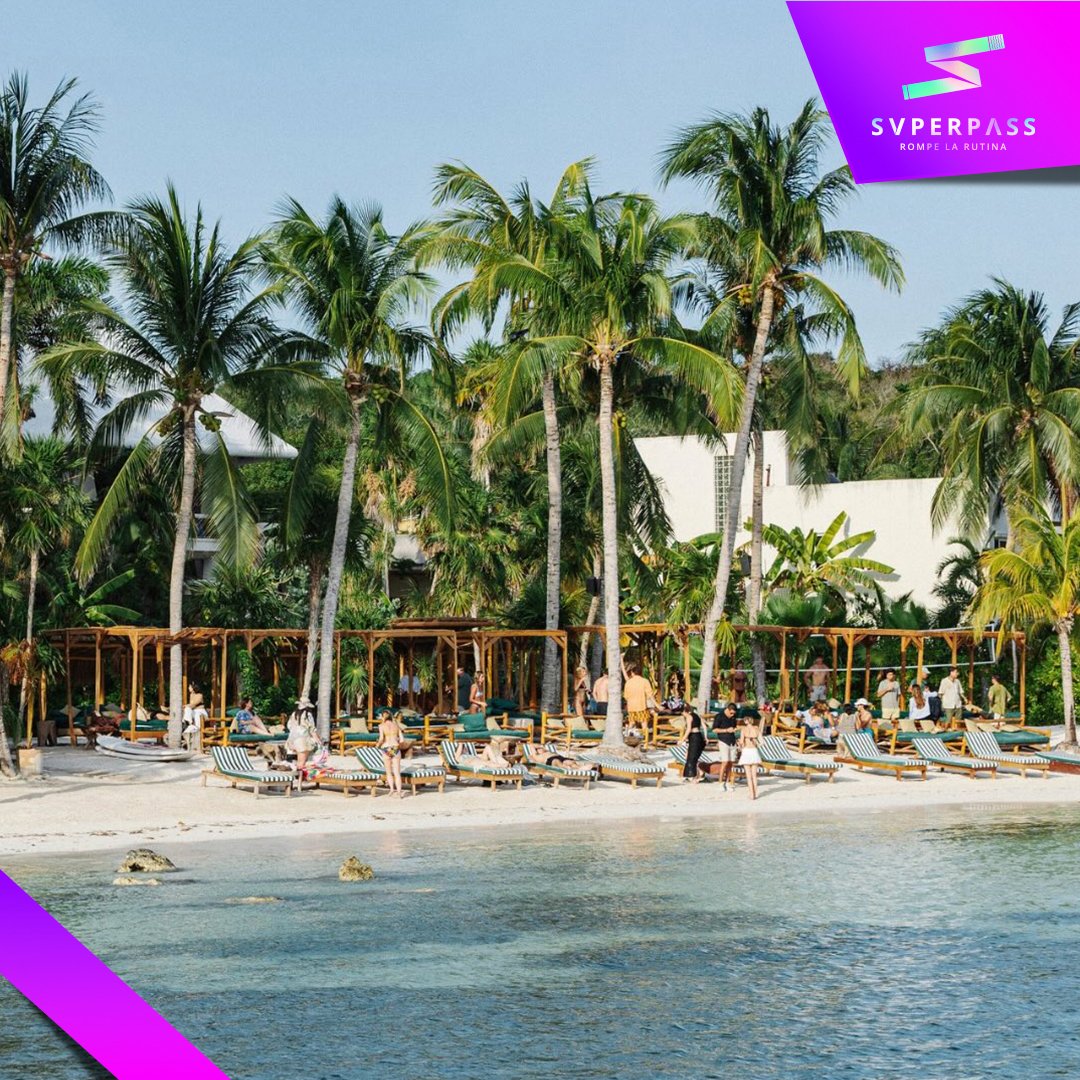 SuperPassMX's tweet photo. Nuestro nuevo Day Pass en Mayan Monkey Isla Mujeres lo tiene todo para recuperar tu brillo: ambiente increíble, atardeceres de postal, platillos deliciosos y cocteles refrescantes. 🍹🏝️

Isla Mujeres te está llamando. ¿Vas a responder? 📲 https://t.co/xXHVkNgGzD https://t.co/DBR6Uxa743