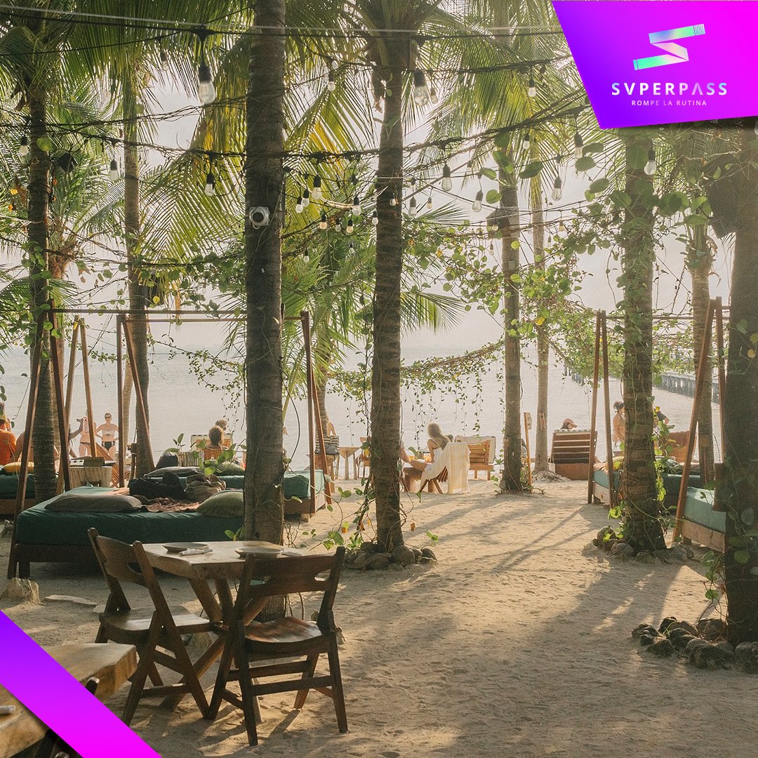 SuperPassMX's tweet photo. Nuestro nuevo Day Pass en Mayan Monkey Isla Mujeres lo tiene todo para recuperar tu brillo: ambiente increíble, atardeceres de postal, platillos deliciosos y cocteles refrescantes. 🍹🏝️

Isla Mujeres te está llamando. ¿Vas a responder? 📲 https://t.co/xXHVkNgGzD https://t.co/DBR6Uxa743