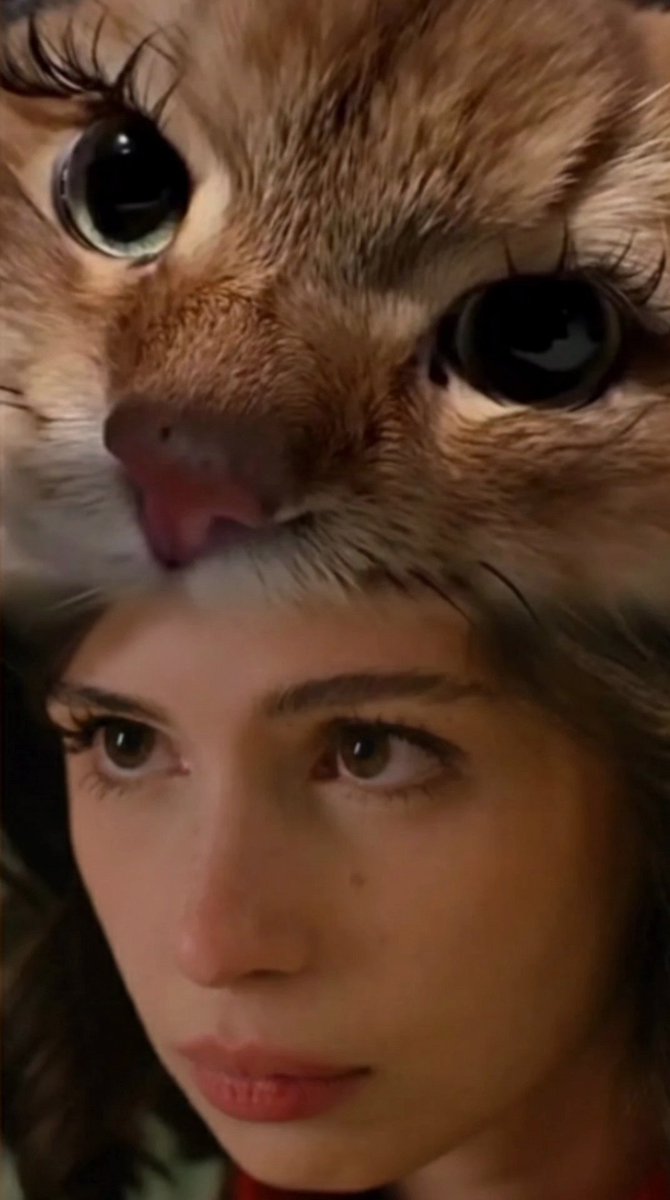 İso'nun vahşi kedisi 🥹😍💓
#isfad #tasacakbudeni̇z
