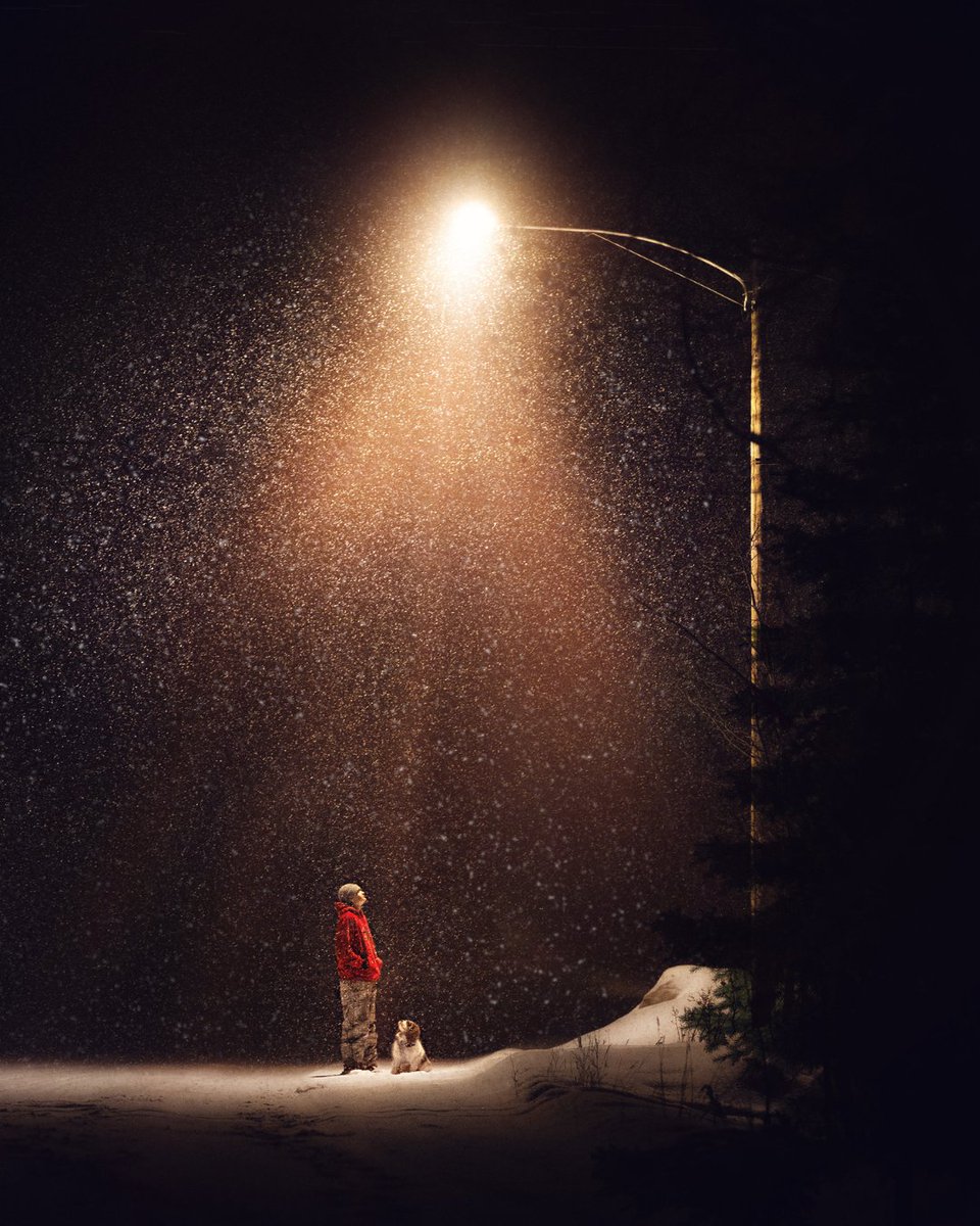 NikonUSA tweet media