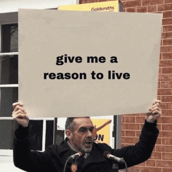 sia 🏒 tweet media