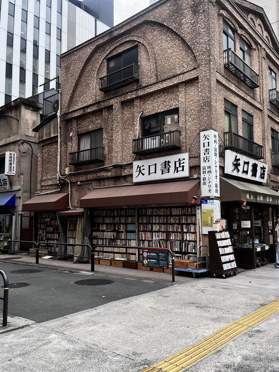 Loli • ロリ🌳💭 tweet media